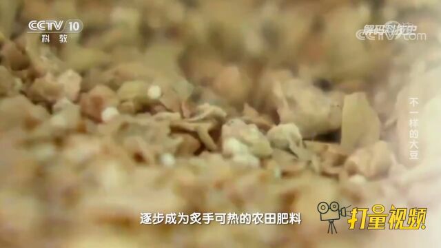 明清时期,豆饼逐渐成为江南农民炙手可热的农田肥料