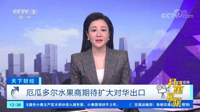 厄瓜多尔水果商期待扩大对华出口