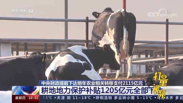 中央财政提前下达明年农业相关转移支付2115亿元,确保粮食安全