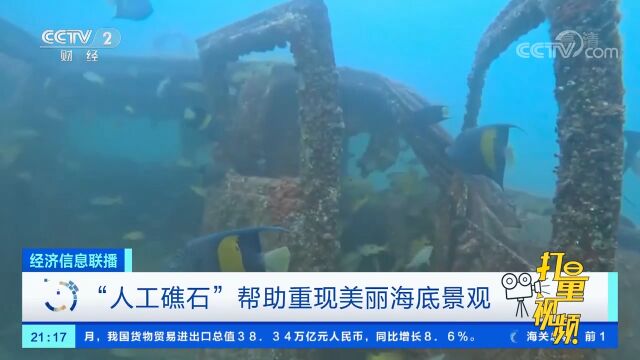 “人工礁石”帮助重现美丽海底景观