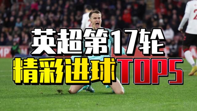 英超第17轮精彩进球TOP5:马希超级世界波直挂死角