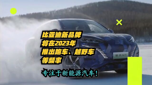 比亚迪新品牌将在2023年推出跑车、越野等品类,专注于新能源汽车