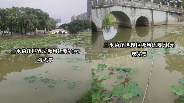 男子花70元游玩荷花世界,吐槽没见荷花到处垃圾,园区:没到季节