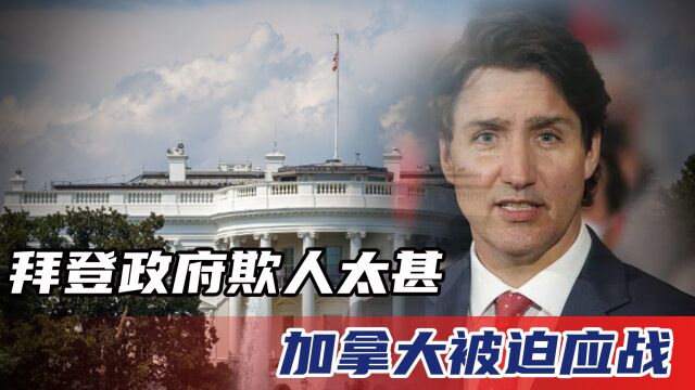 美国对加大拿实施“反倾销税”策略