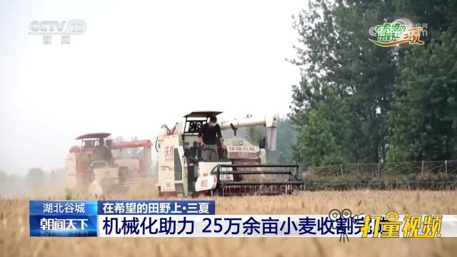 湖北谷城:机械化助力,25万余亩小麦收割完成