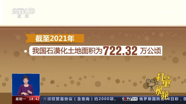 治理见成效,万里石漠如何上演绿色“逆袭”?