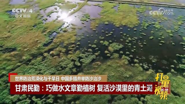 甘肃民勤:巧做水文章勤植树,复活沙漠里的青土湖