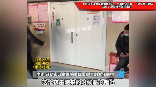 8岁孩子误食半颗紫藤花籽,中毒住进ICU,“这个种子粉碎以后,提取液可做杀虫剂”