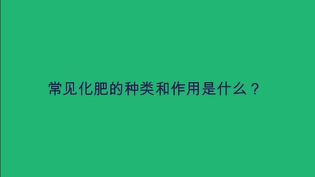 常见化肥的种类和作用是什么?