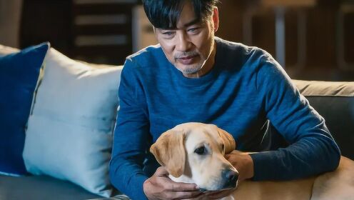 导盲犬电影《小Q》上映获盛赞，2019年拉布拉多犬被带火了