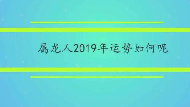 属龙人2019年运势如何呢