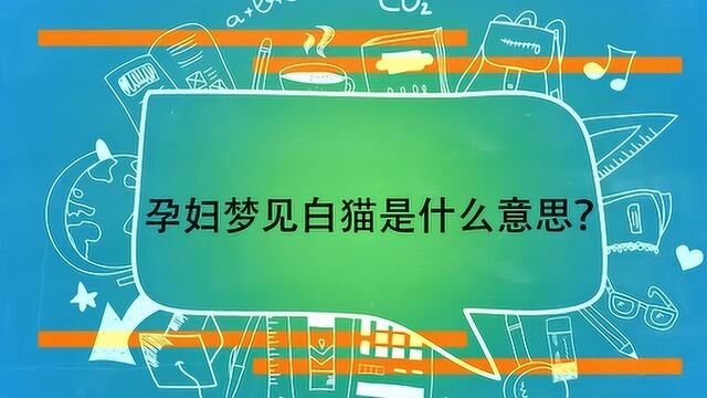 孕妇梦见白猫是什么意思?