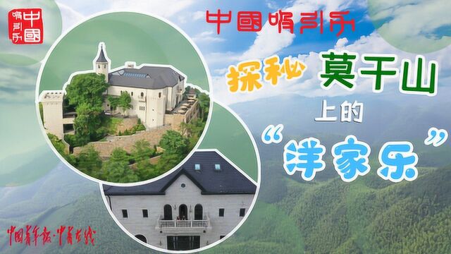 【中国吸引力】探秘莫干山上的“洋家乐”