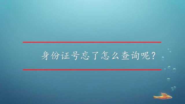 身份证号忘了怎么查询呢?