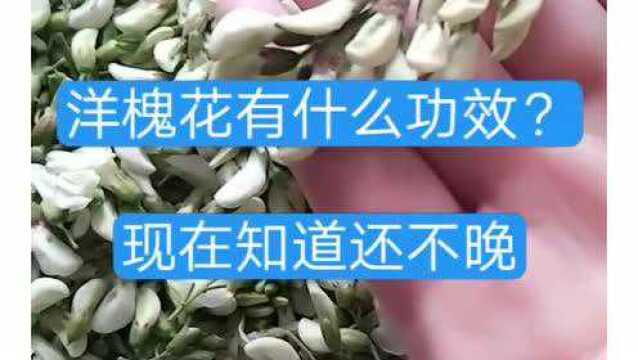 洋槐花竟然有这么多好处,后悔现在才知道