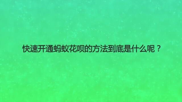 快速开通蚂蚁花呗的方法到底是什么呢?