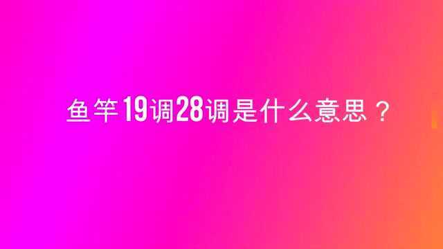 鱼竿19调28调是什么意思?