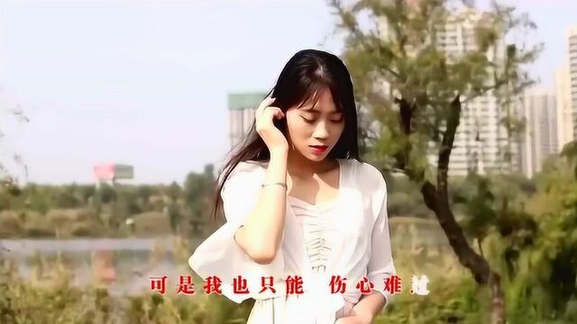 一首《多想把你抱住》,歌声婉转动听,醉人心扉!