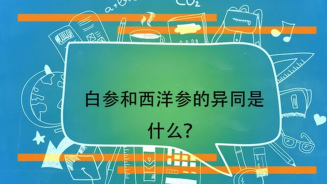 白参和西洋参的异同是什么?