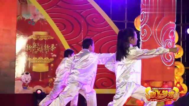 放飞梦想的舞台,武术表演《少年强》,太震撼了