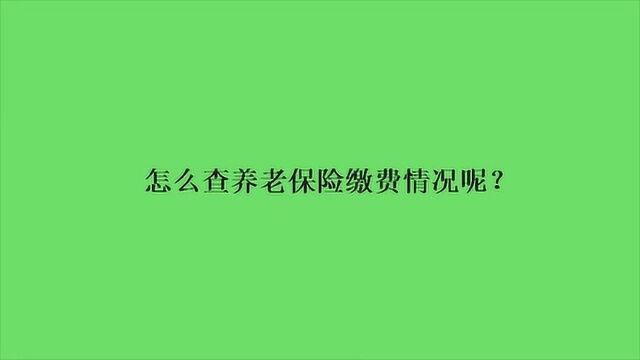 怎么查养老保险缴费情况呢?