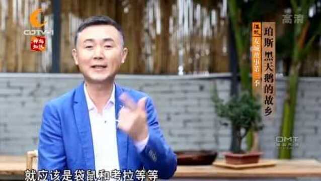 珀斯的标志性动物是黑天鹅 这城市的日照时间是全澳洲最长的