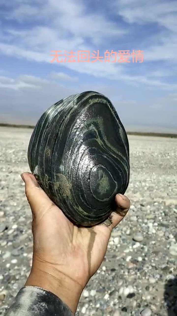 这么大的鹅卵石谁见过?