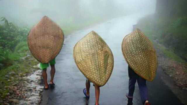 被称为全球最潮湿之地,一年330多天在下雨,人身上都能长蘑菇