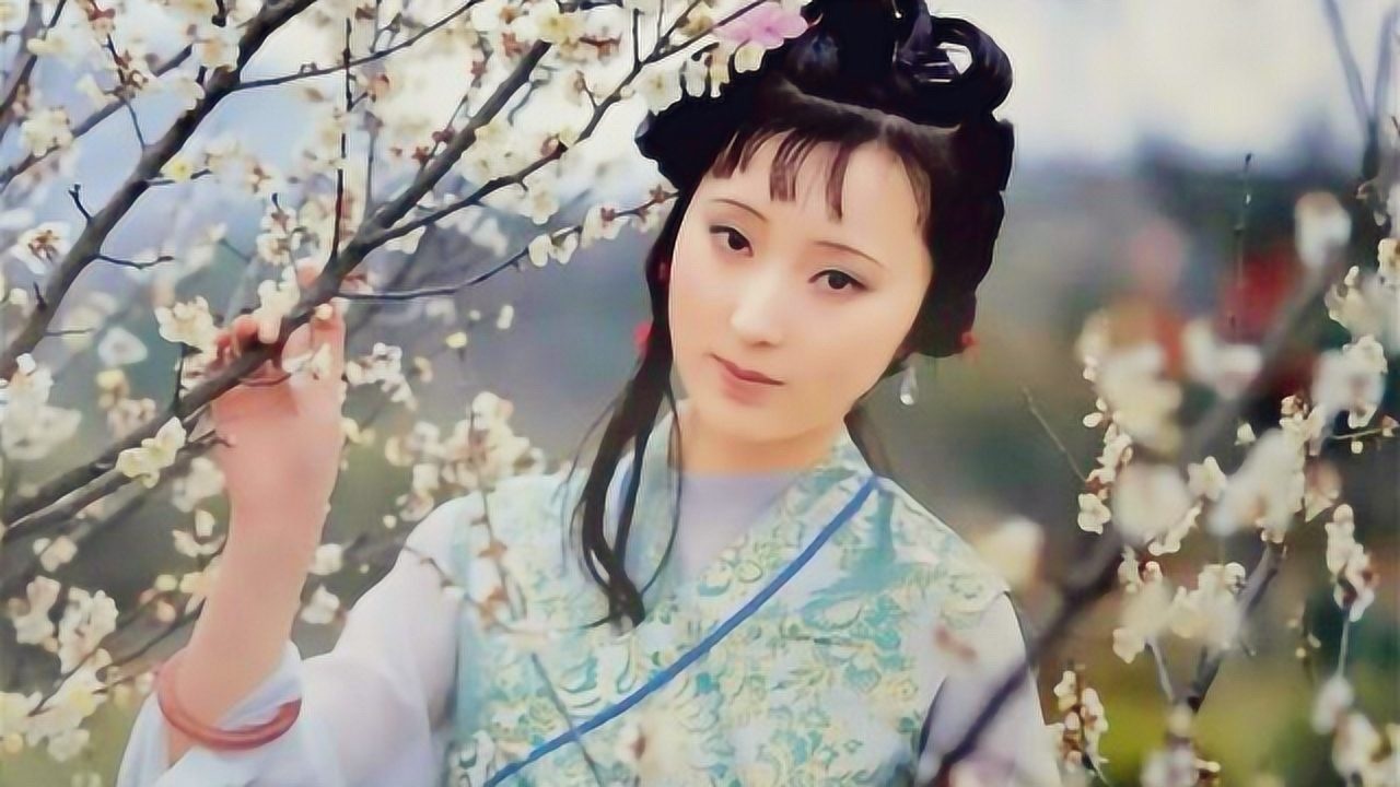 红楼梦黛玉葬花与宝钗扑蝶发生在同一章回曹雪芹有何寓意