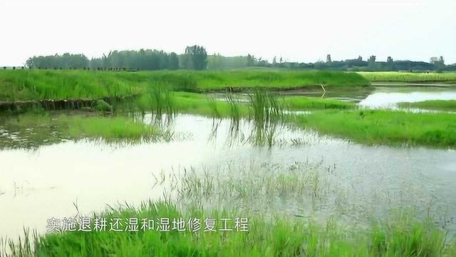 邓州湍河国家湿地公园试点建设汇报