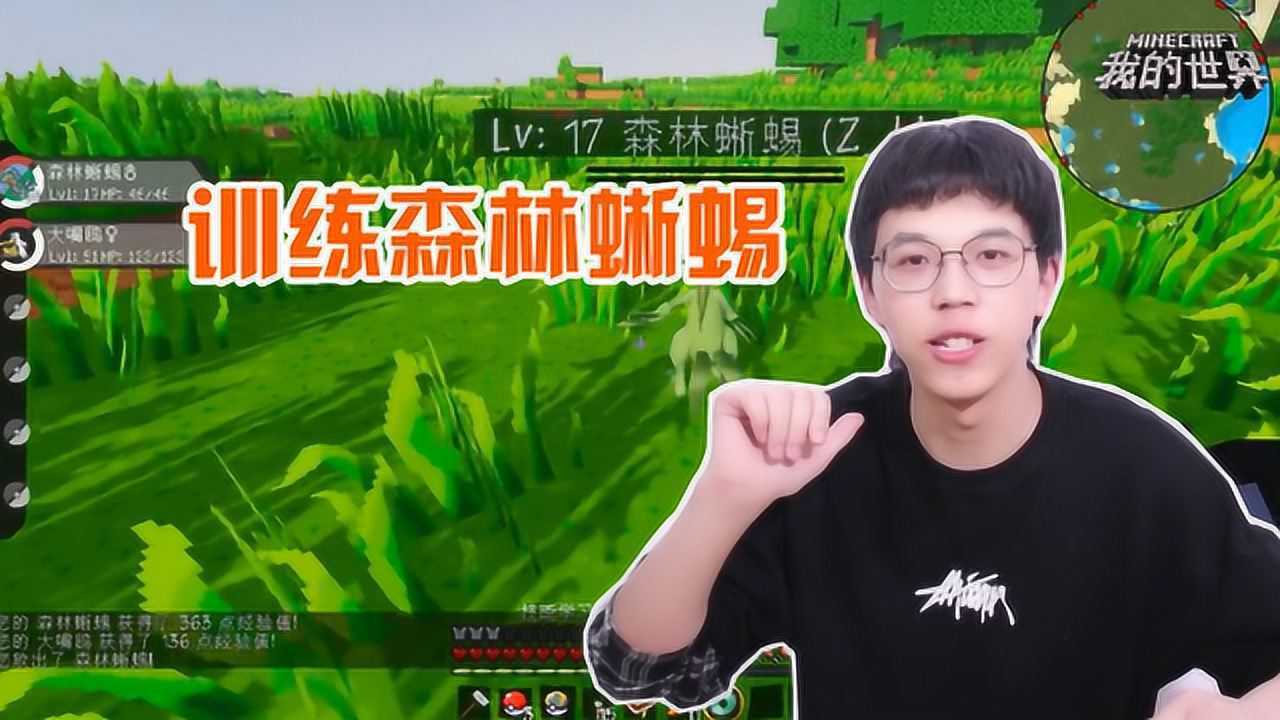 我的世界贤宝宝练深林蜥蜴独缺火系精灵