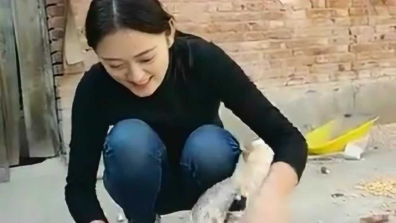 家里来了客人,情急之下拿鸭子先救个场,没想到美女杀鸭子也要有仪式感