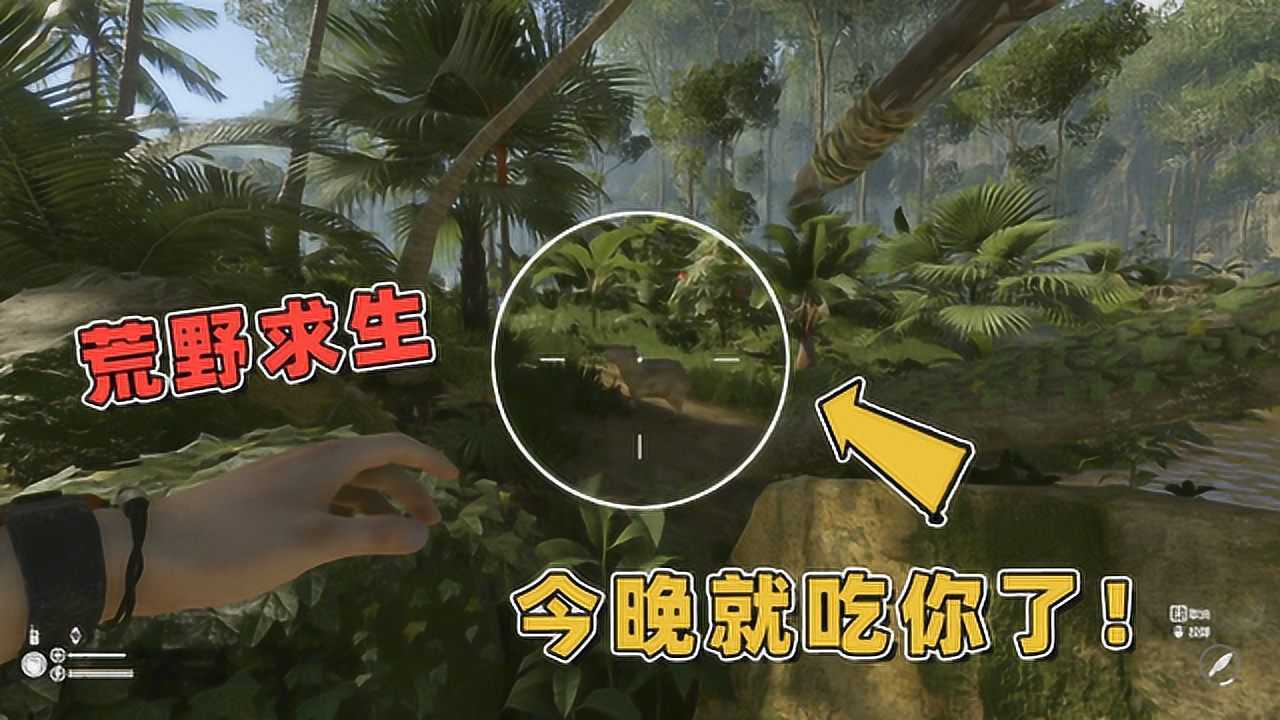 极致哥绿色地狱04离开营地找到野人的部落