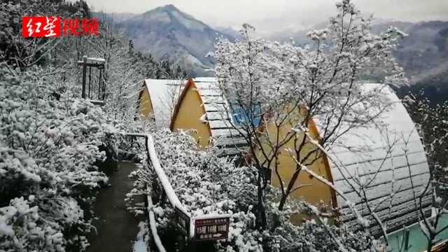 下雪啦!什邡今年入冬第一场雪悄然而至