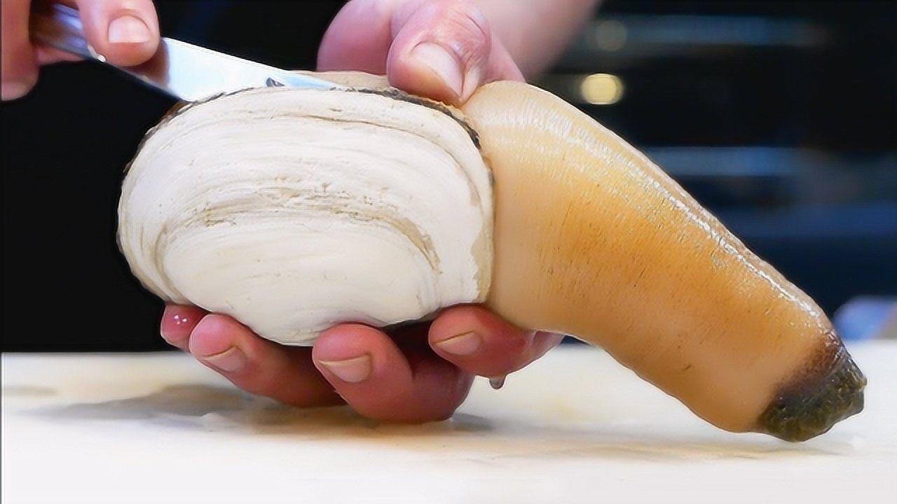 象拔蚌的正确打开方式—喷水管状物,世界上最好吃的大鼻子