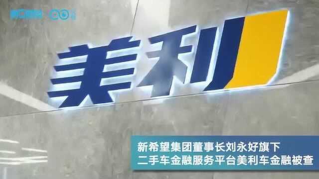 二手车金融第一股陨落,“四川首富”刘永好投资打水漂?丨热公司