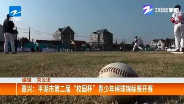 嘉兴:平湖市第二届“校园杯”青少年棒球锦标赛开赛