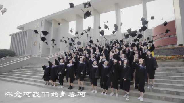 郑州科技学院16音乐学毕业季宣传片