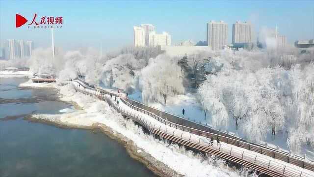 美哭了!吉林现大规模雾凇 整座城市宛如仙境