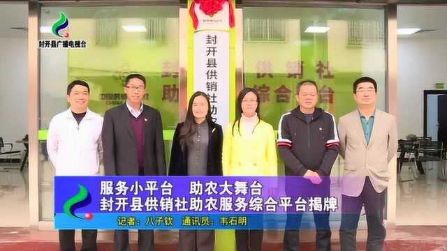 服务小平台 助农大舞台 封开县供销社助农服务综合平台揭牌