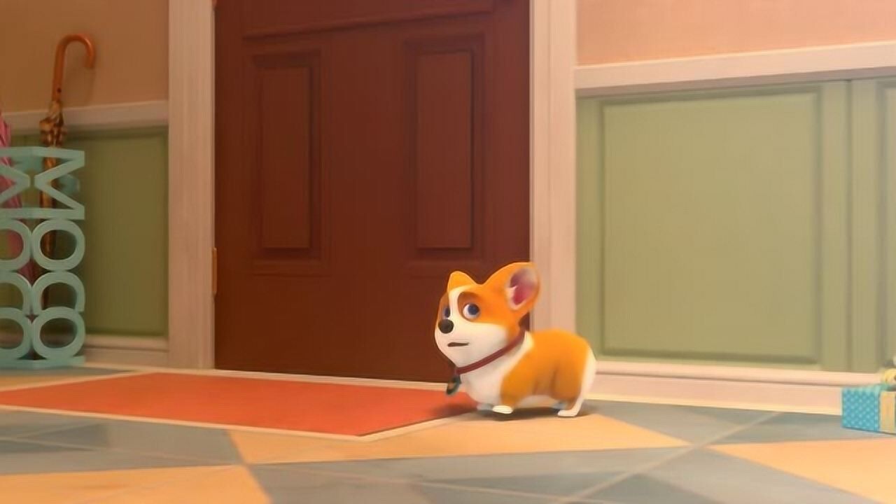 飞狗moco:圣诞节的我看着烟花,整个人都安静了,好漂亮啊