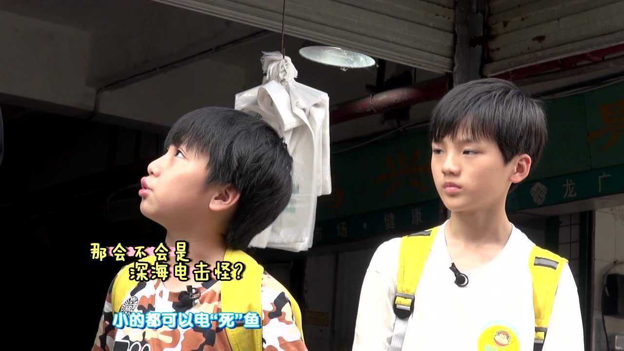 童趣大冒险之深海电击怪