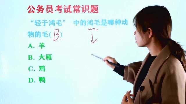 公务员考试题:“轻于鸿毛” 中的鸿毛是哪种动物的毛?