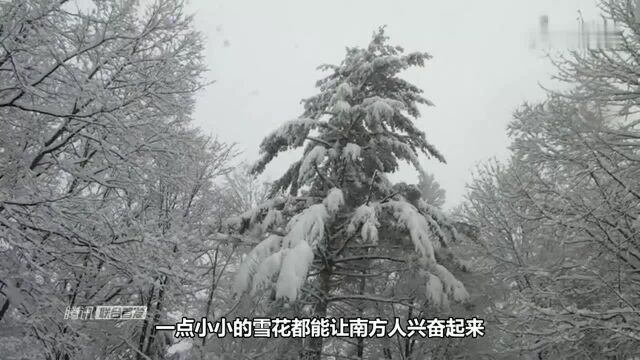 为什么,雪花都是六角形的?