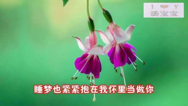 2月6日早上好,为你点了一首好听的歌,愿你幸福久久快乐久久