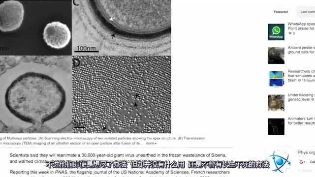 长生不死真存在拿百万年前病毒注射实验,网友:有副作用吗