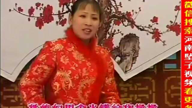 坠子《李老汉的三个儿子》胡中花演唱