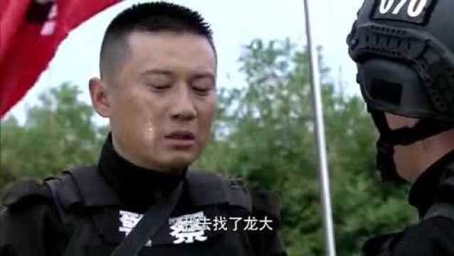 特警力量沈鸿飞一个举动,龙头就看出他的领导力是与生俱来的