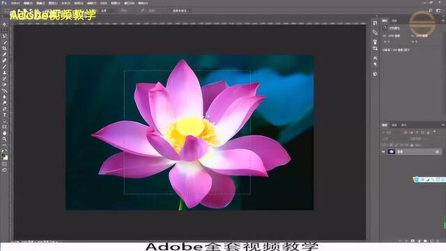 Adobe全套教程PScc2017第十七节:选框工具控制详解