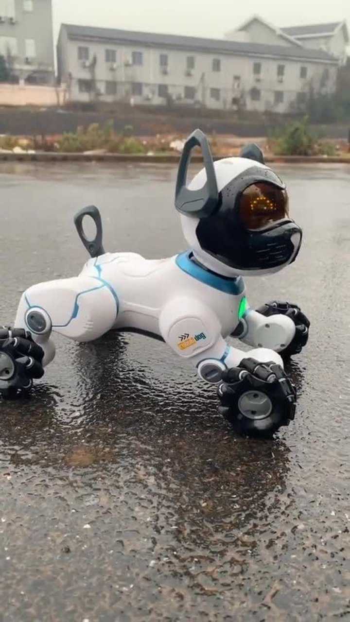 科技电子狗,真是啥绝活都会啊